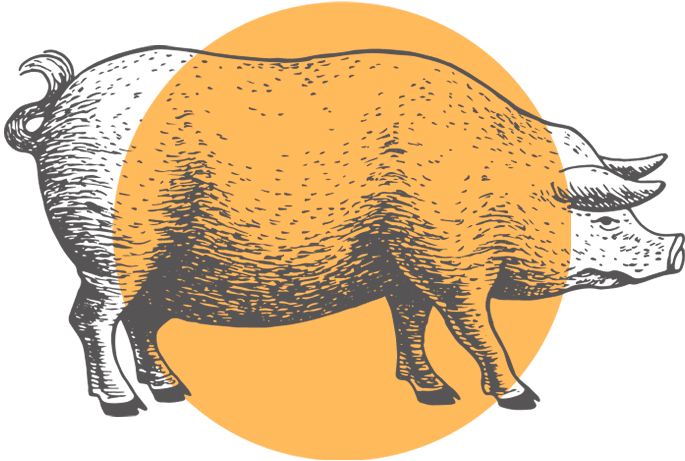Black and white pig illustration with overlaid gold circle icon.