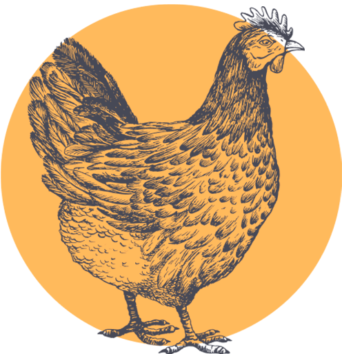 Black and white chicken illustration with overlaid gold circle icon.
