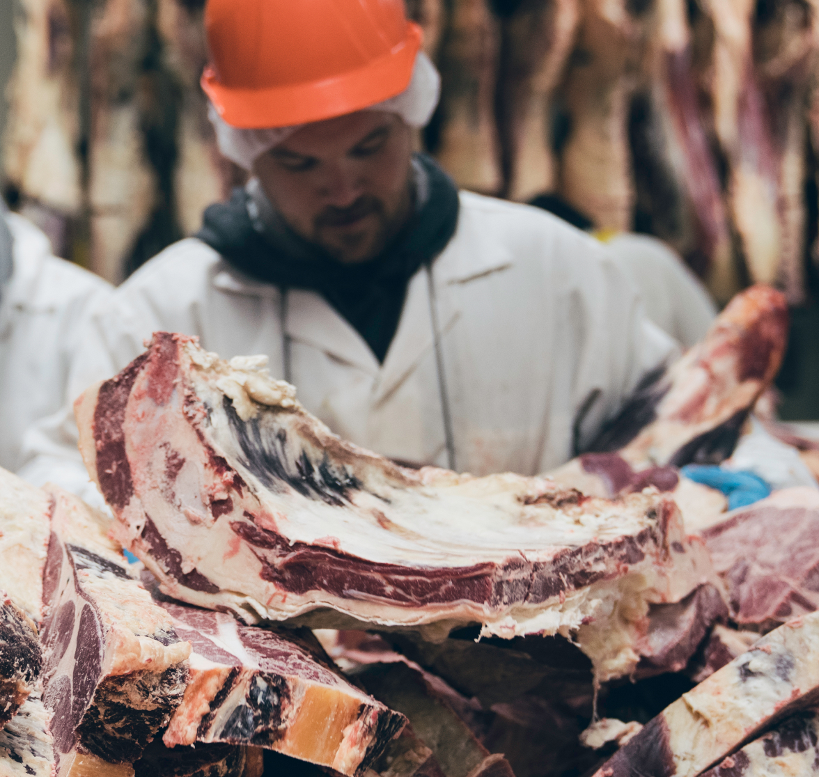 Man in butcher shop wearing orange hard hat and white lab coat surrounded by cuts of raw meat.
