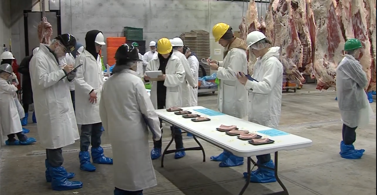 2023 Aggie Days Meat Judging Competition